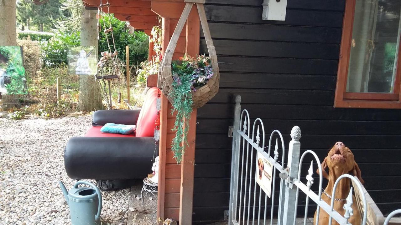 Chalet Op Een Rustig Park In De Natuur Putten Esterno foto