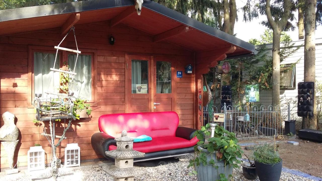 Chalet Op Een Rustig Park In De Natuur Putten Esterno foto