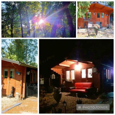 Chalet Op Een Rustig Park In De Natuur Putten Esterno foto