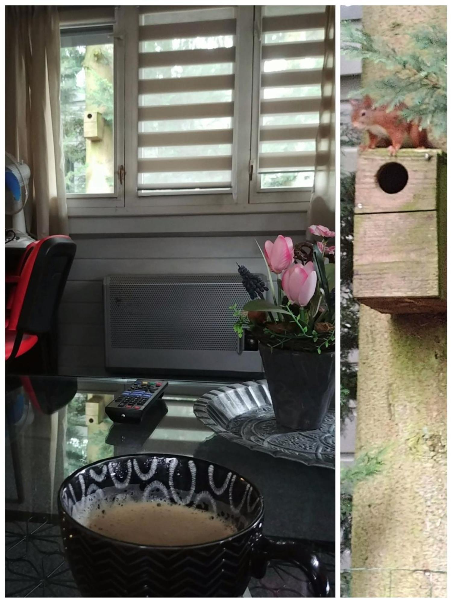 Chalet Op Een Rustig Park In De Natuur Putten Esterno foto