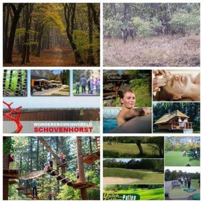 Chalet Op Een Rustig Park In De Natuur Putten Esterno foto